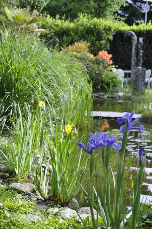 Villa Del Gusto Bellinzona Eksteriør billede